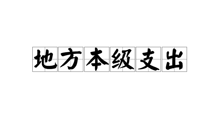 地方本级支出