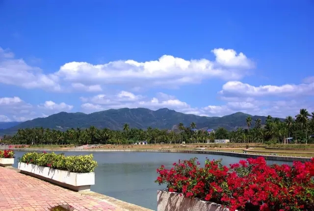 槟榔村(海南省三亚市凤凰镇下辖村) 槟榔村(海南省三亚市凤凰镇下辖村)