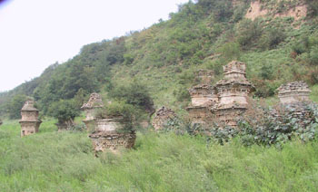 塔林(佛教建筑) 塔林(佛教建筑)