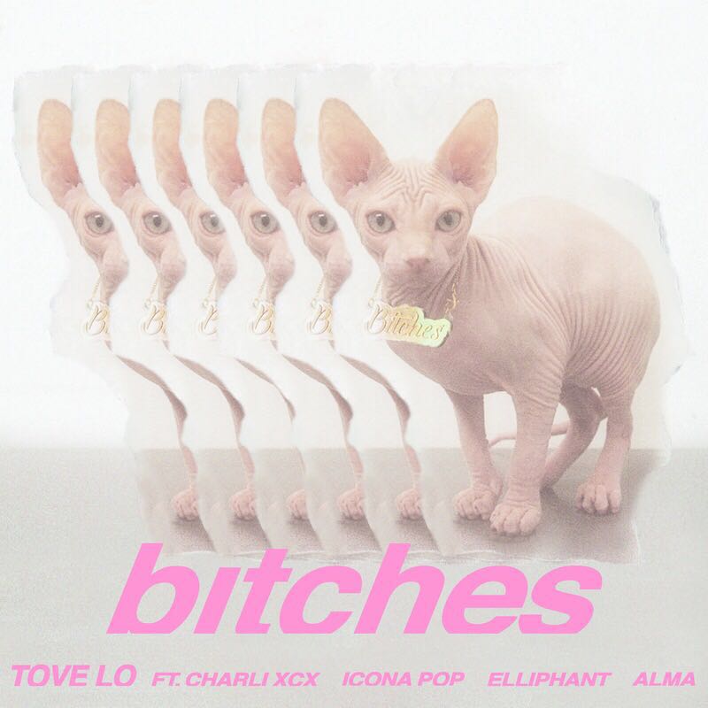 bitches bitches