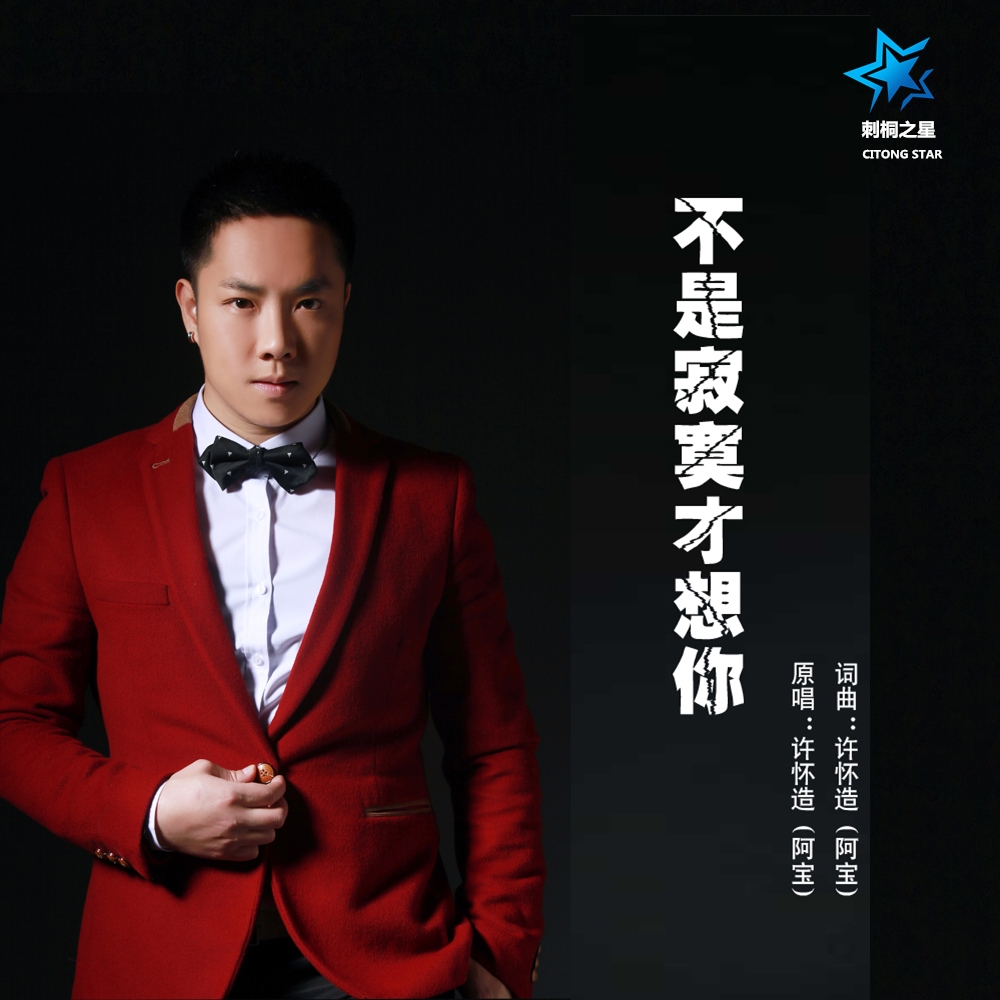 不是因为寂寞才想你(许怀造演唱歌曲) 不是因为寂寞才想你(许怀造演唱歌曲)
