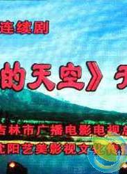 程枫(中国内地影视男演员、主持人)