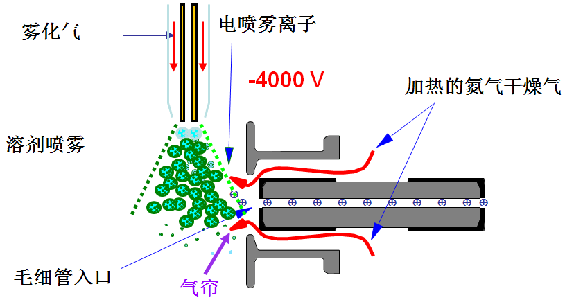 液质联用 液质联用