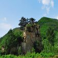都山 都山