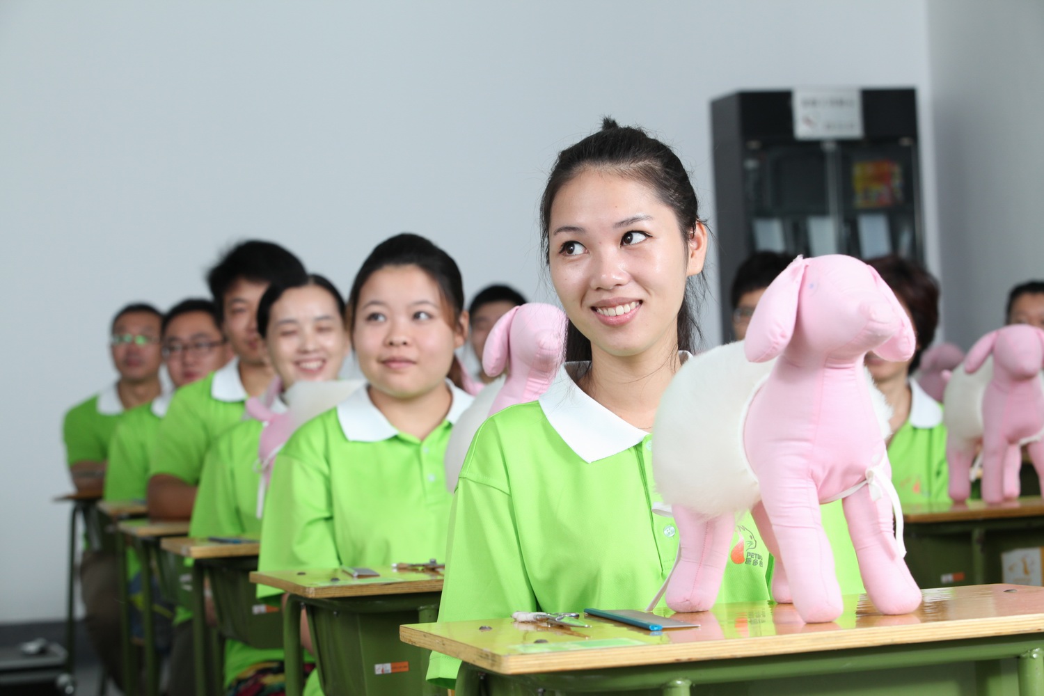 派多格宠物美容学校 派多格宠物美容学校