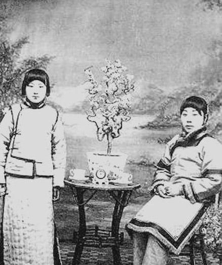 小凤仙 小凤仙