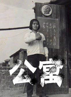 何晴(浙江籍贯女演员)