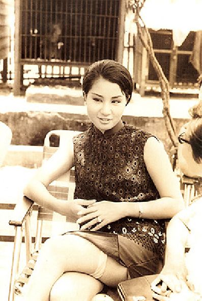 杨丽花 杨丽花