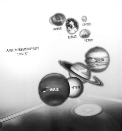 人类蛋白质组计画 人类蛋白质组计画