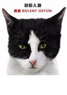 爱猫之城
