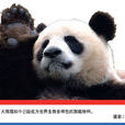 旗舰物种 旗舰物种