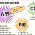 乙型流感 乙型流感
