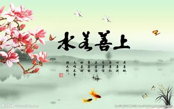 上善若水 上善若水