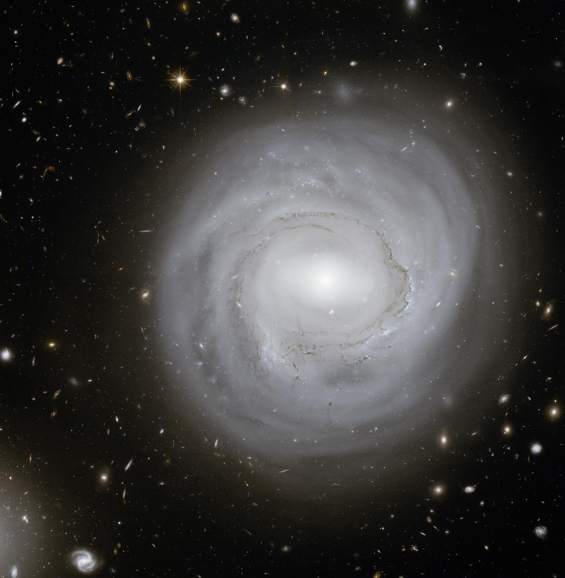 旋涡星系 旋涡星系