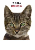 爱猫之城