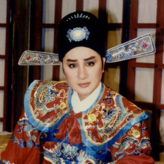 杨丽花 杨丽花
