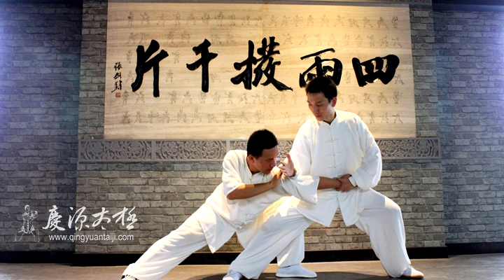 太极推手 太极推手