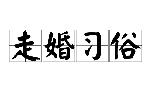 走婚习俗 走婚习俗