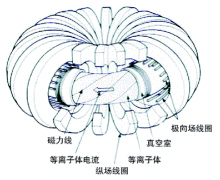 托卡马克示意图 托卡马克示意图