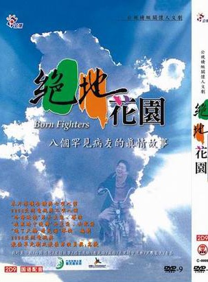 张钧甯(张钧宁)