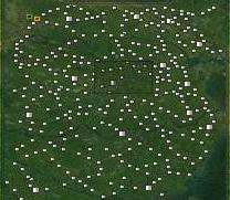 小地图 小地图