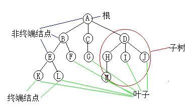叶子结点 叶子结点