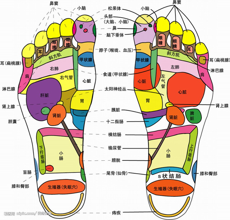 足部穴位 足部穴位