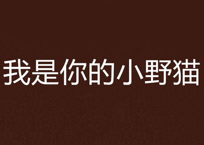 我是你的小野猫 我是你的小野猫