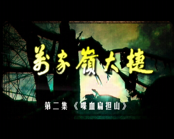 万家岭大捷(三十集大型抗战电视连续剧)