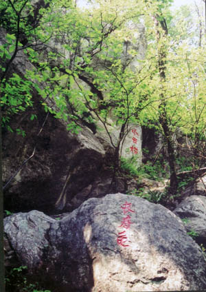 金顶山风景区 金顶山风景区