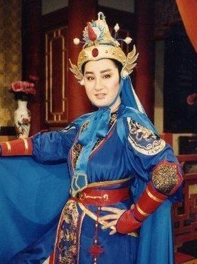 杨丽花 杨丽花