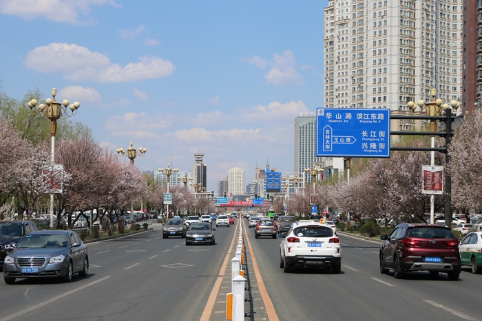 吉林大街 吉林大街
