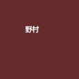 野村(断欲小说) 野村(断欲小说)