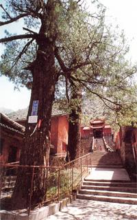 灵山寺 灵山寺