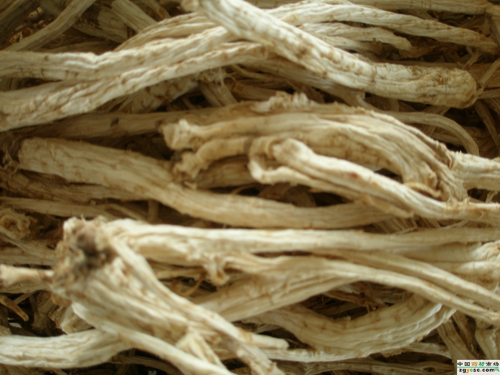 橘梗(桔梗科植物桔梗的根) 橘梗(桔梗科植物桔梗的根)