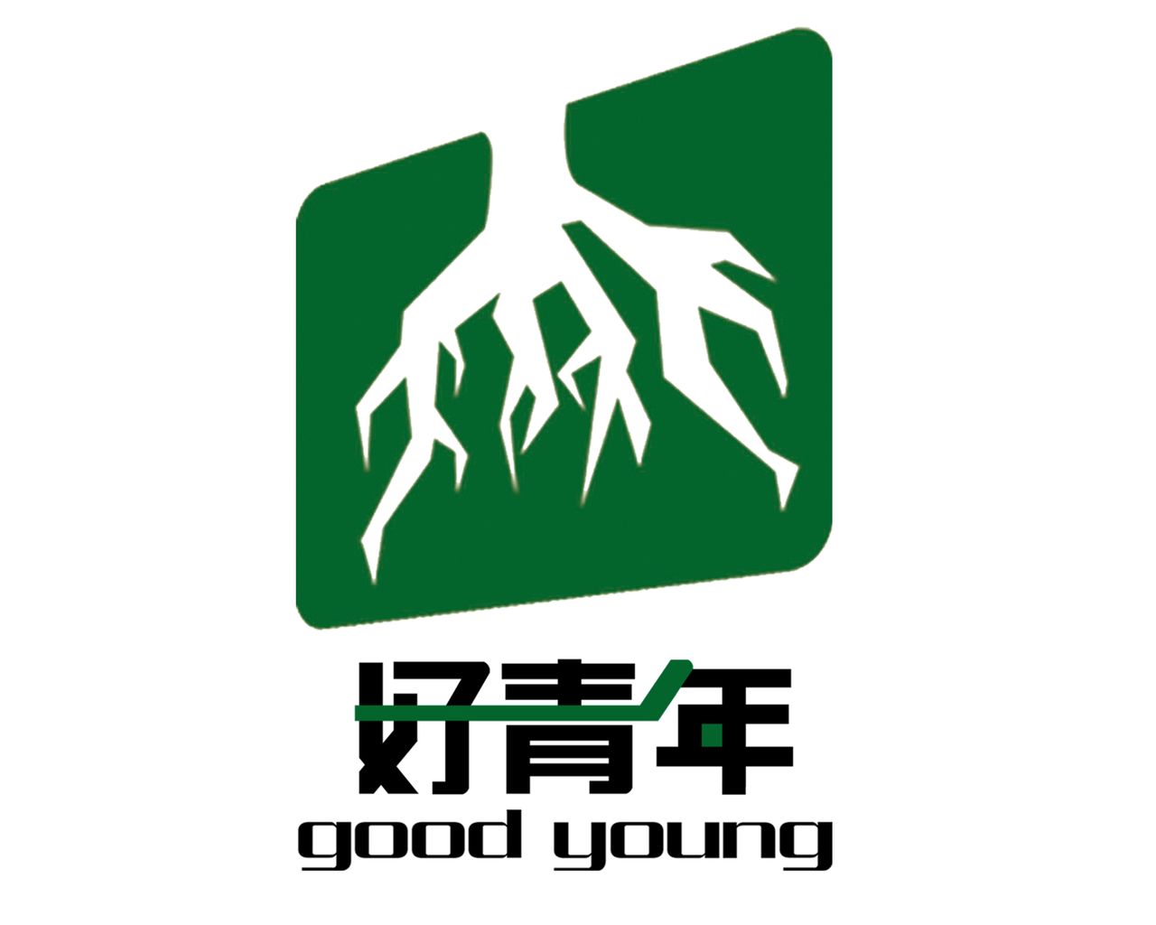 好青年绿色公益发展中心 好青年绿色公益发展中心