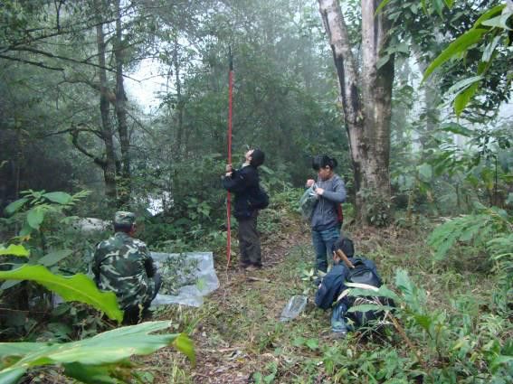 金平分水岭自然保护区 金平分水岭自然保护区