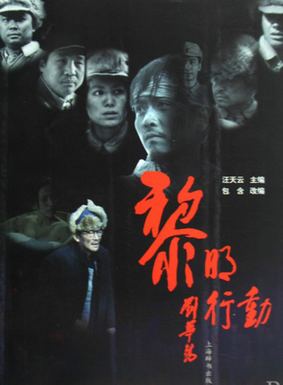 安雅(中国台湾女演员)