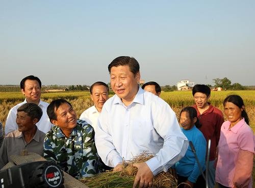 习近平主席在泰和 习近平主席在泰和