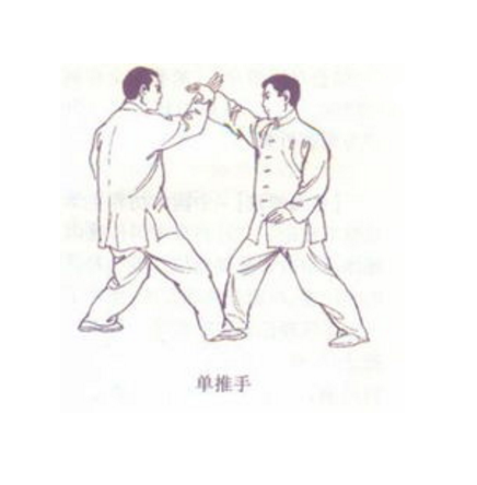 单推手 单推手