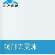 铜门五灵珠