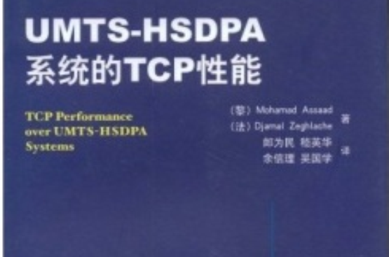 UMTS-HSDPA系统的TCP性能 UMTS-HSDPA系统的TCP性能