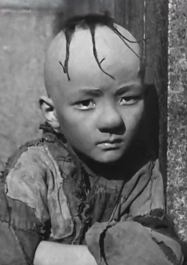 三毛流浪记(1949年赵明、严恭执导电影)