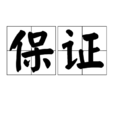 保证(保险名词) 保证(保险名词)