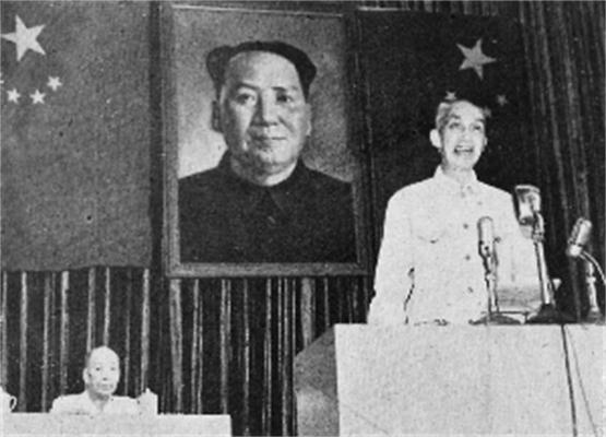 中国文字改革委员会 中国文字改革委员会