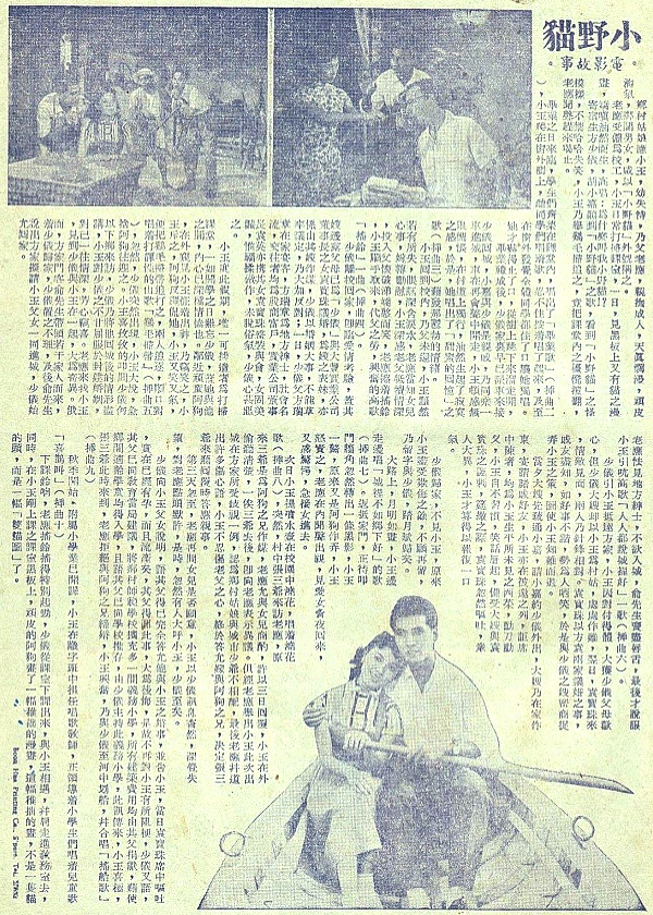 小野猫 小野猫
