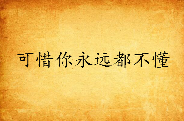 可惜你永远都不懂 可惜你永远都不懂