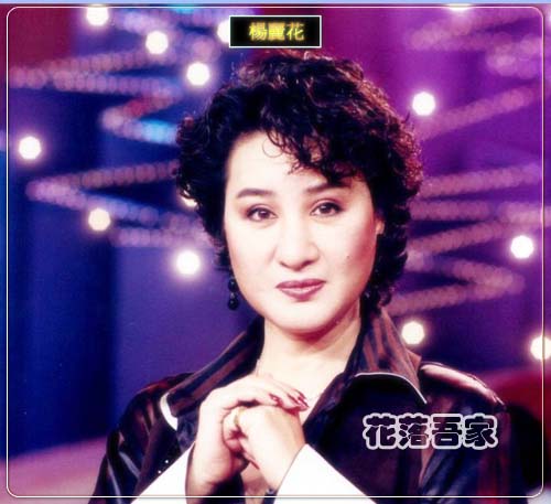 杨丽花 杨丽花