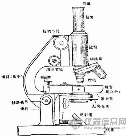 普通光学显微镜 普通光学显微镜