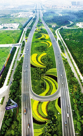 东莞大道 东莞大道